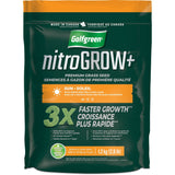 Golfgreen Nitrogrow+ Premium Nitrogen Enriched Sun Grass Seed with Fertilizer, 14-0-0, 1.2kg image 2