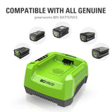 Greenworks PRO 80V 2Ah Lithium-Ion Battery Charger for CT#: 060-1706 image 5