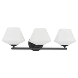 Hunter Celestial Valley 3 Light Vanity Light