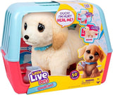Little Live Pets Ouchies Retriever Deluxe with Healing Action image 5