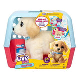 Little Live Pets Ouchies Retriever Deluxe with Healing Action image 6
