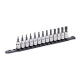 MAXIMUM 3/8-in Drive Tamper Proof Torx Bit Socket Set, Heat-Treated, 13-pc