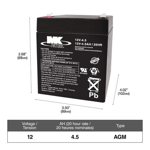 MOTOMASTER Commercial Group Size 1 6-Volt Battery