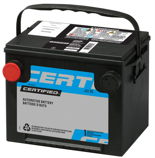 MOTOMASTER Group Size 140R (H4/L1) Battery, 445 CCA