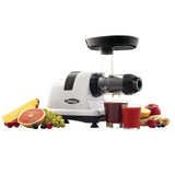 Omega Horizontal Slow Juicer, 150W, 4 Cups image 4