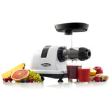 Omega Horizontal Slow Juicer, 150W, 4 Cups image 5