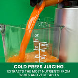 Omega Wide Mouth Cold Press Slow Juicer with Anti-Clog image 5
