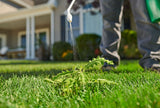 Ortho Killex Lawn Weed Control with Wand, 4-L image 4