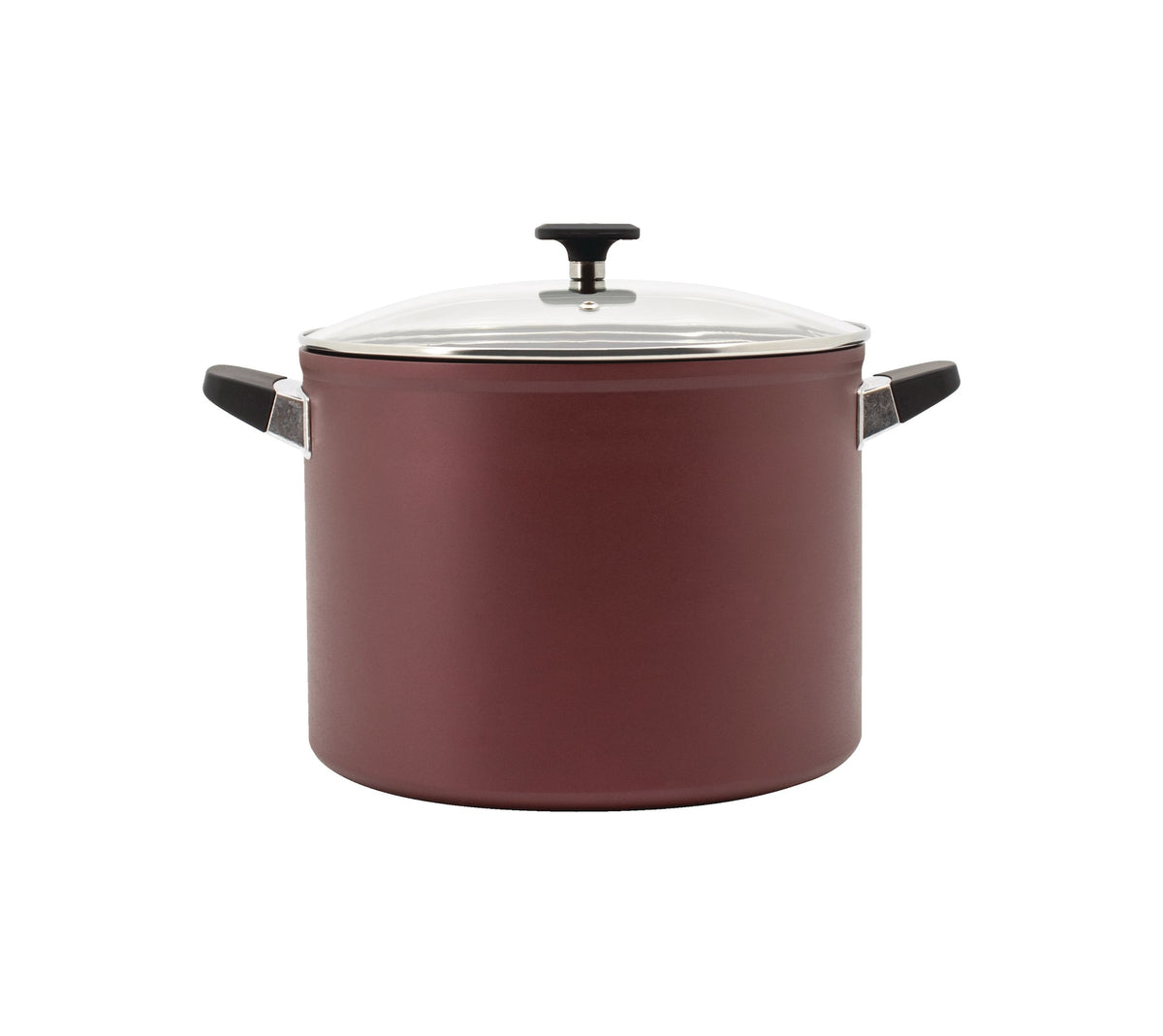 PADERNO Classic Non-Stick Stock Pot, 10-qt