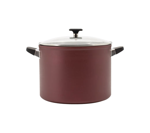 PADERNO Classic Non-Stick Stock Pot, 10-qt
