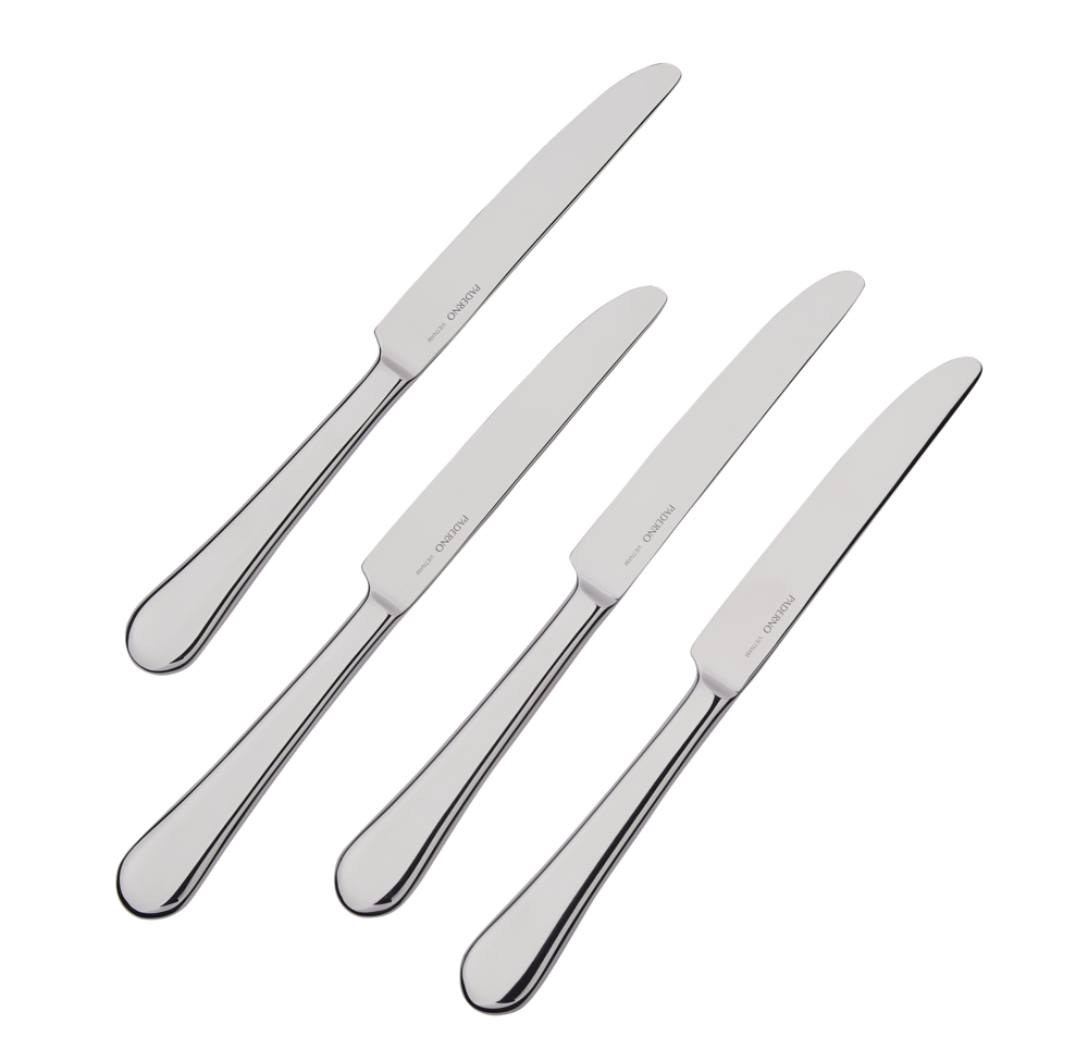 PADERNO Stainless Steel Dinner Knives, 4-pc
