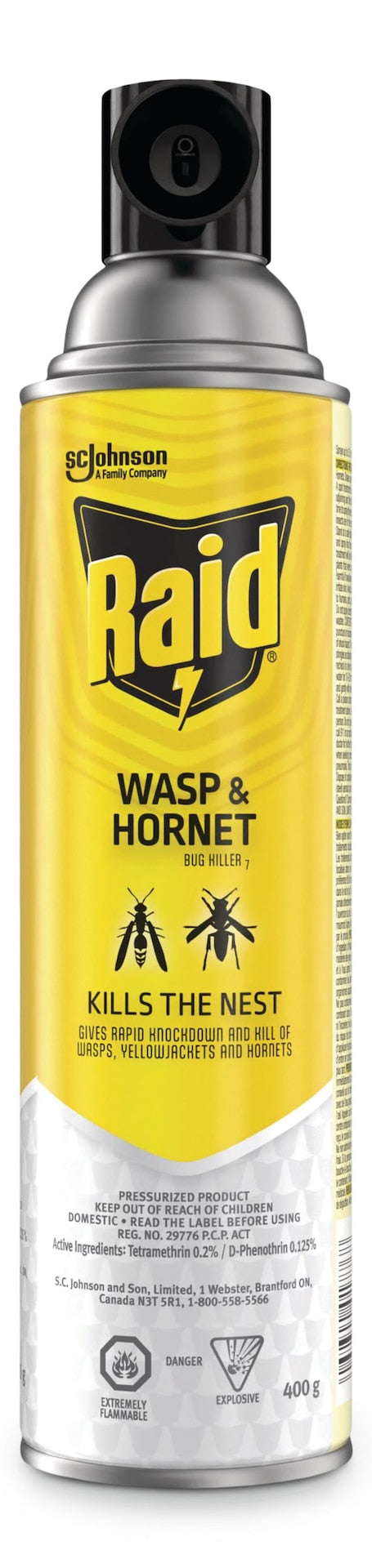 Raid Hornet & Wasp Spray, Aerosol Spray, 400 g