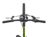 Raleigh GOAT Youth Bike with V-brakes, 20-in, Green image 4