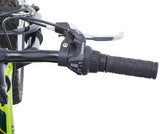 Raleigh GOAT Youth Bike with V-brakes, 20-in, Green image 7