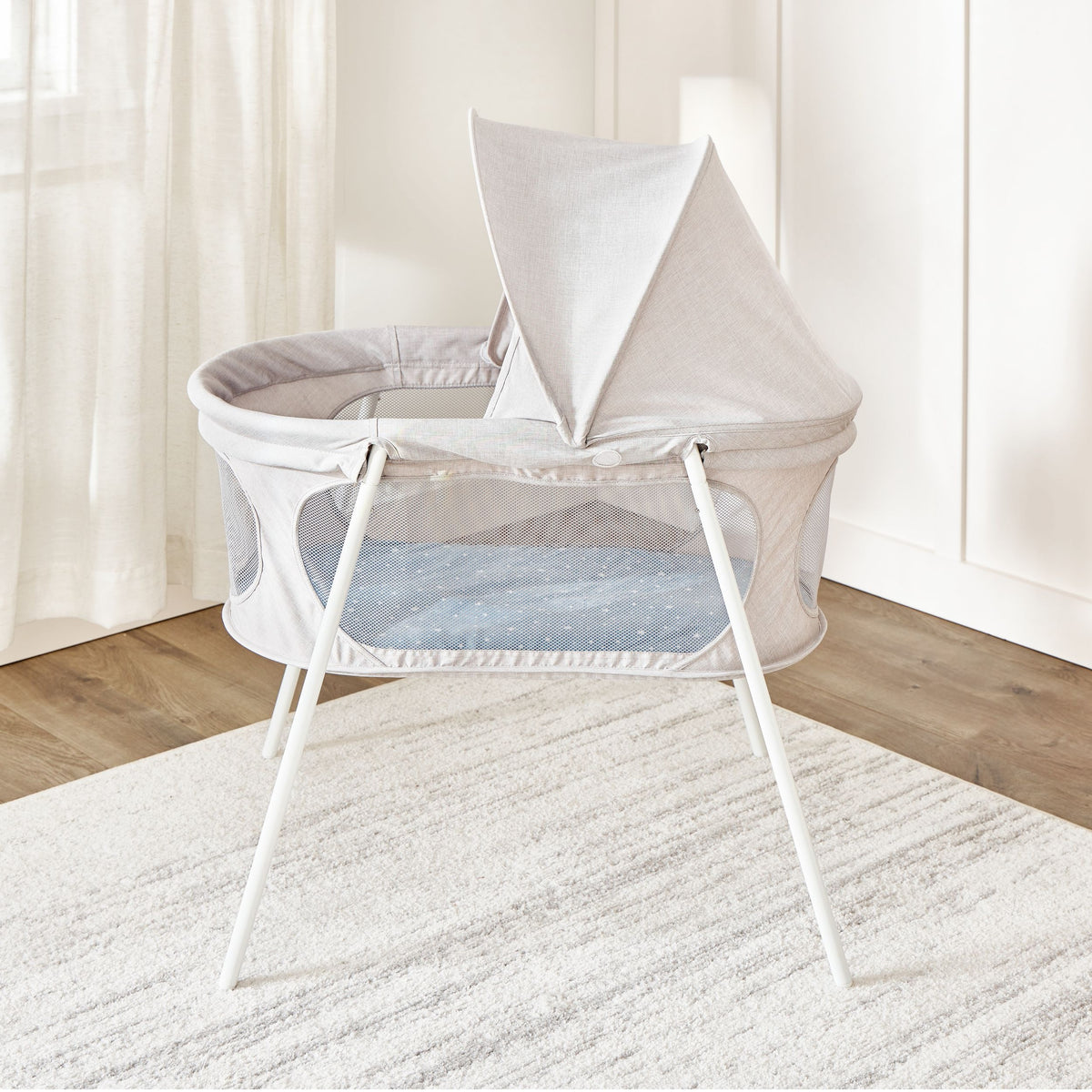 Regalo Baby Basics Infant Bassinet with Canopy, Grey