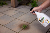 RoundUp Advanced Ready-To-Use Grass & Weed Control Spray, 1-L image 4
