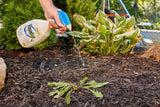 RoundUp Ready-to-Use Herbicide Grass & Weed Control/Killer with Fast Fact Foam, 1-L image 4