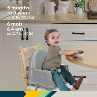 Safety 1st Easy Care Steel Fog Feeding Booster with Swing Tray