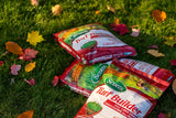 Scotts Turf Builder Fall Lawn Fertilizer, 5.25-kg image 4