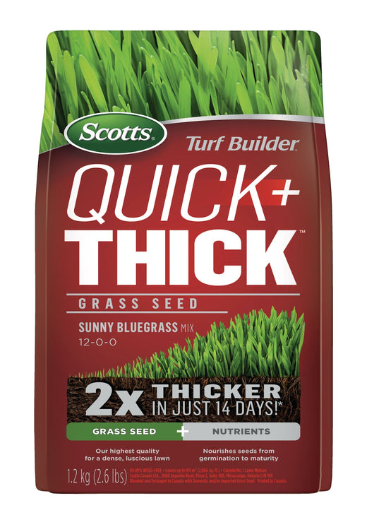 Scotts Turf Builder Quick + Thick Grass Seed Sunny Bluegrass Mix, 12-0-0, 1.2-kg