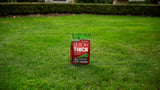 Scotts Turf Builder Quick + Thick Grass Seed Sunny Bluegrass Mix, 12-0-0, 1.2-kg image 2