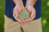 Scotts Turf Builder Quick + Thick Grass Seed Tough & Resilient Mix, 12-0-0, 1.2-kg image 4