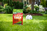 Scotts Turf Builder Quick + Thick Grass Seed Tough & Resilient Mix, 12-0-0, 1.2-kg image 5