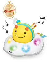 Skip Hop Follow-Bee Crawl Toy image 2