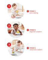 Skip Hop Follow-Bee Crawl Toy image 6