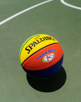 Spalding Rookie Gear Youth Kids' Indoor/Outdoor Multi-Colour Composite Basketball, Size 5 (27.5-in) image 7