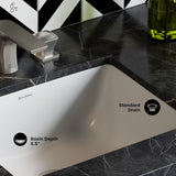 Swiss Madison Plaisir 18.5 Rectangular Under-Mount Bathroom Sink image 4