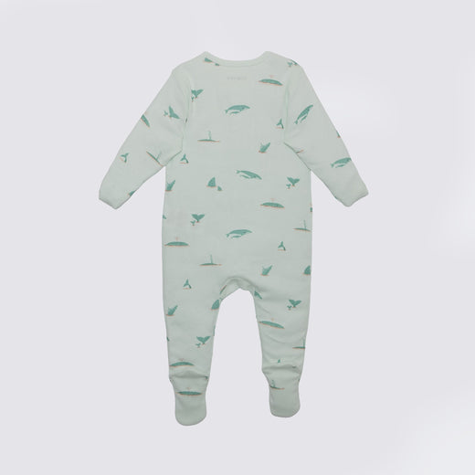 The Elk Baby Whale Print Premium Organic Cotton Play and Grow Zippy, Various Sizes