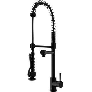 VIGO Zurich Kitchen Faucet, Matte Black