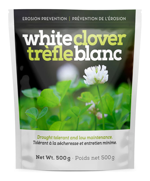 White Clover Erosion Control Grass Seed 500g