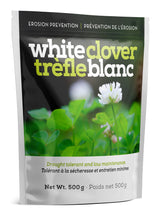 White Clover Erosion Control Grass Seed 500g image 2